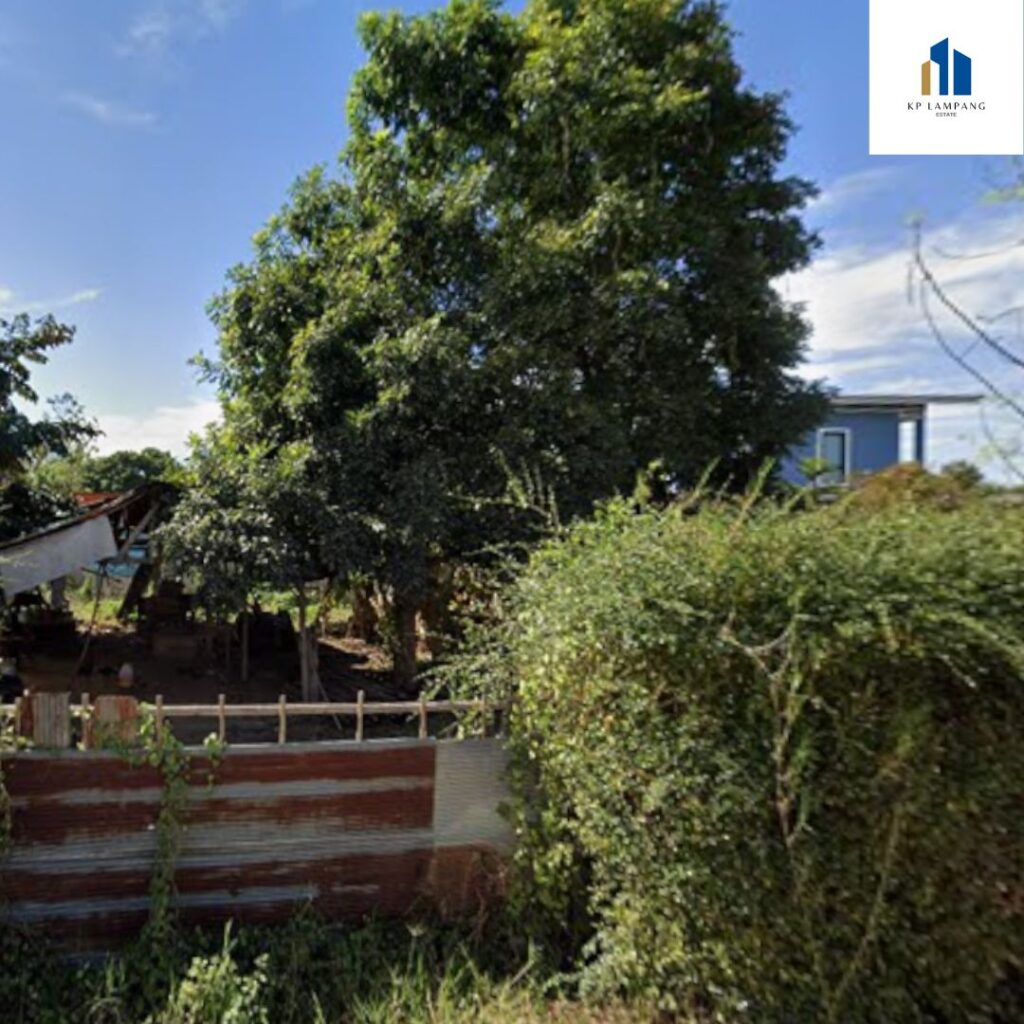 ขายที่ดินห้างฉัตร