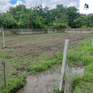 ที่ดินพิชัยลำปาง